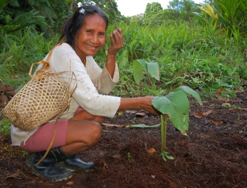 Hermelinda Lopez planting guisador. Photo by Campbell Plowden/Center for Amazon Community Ecology